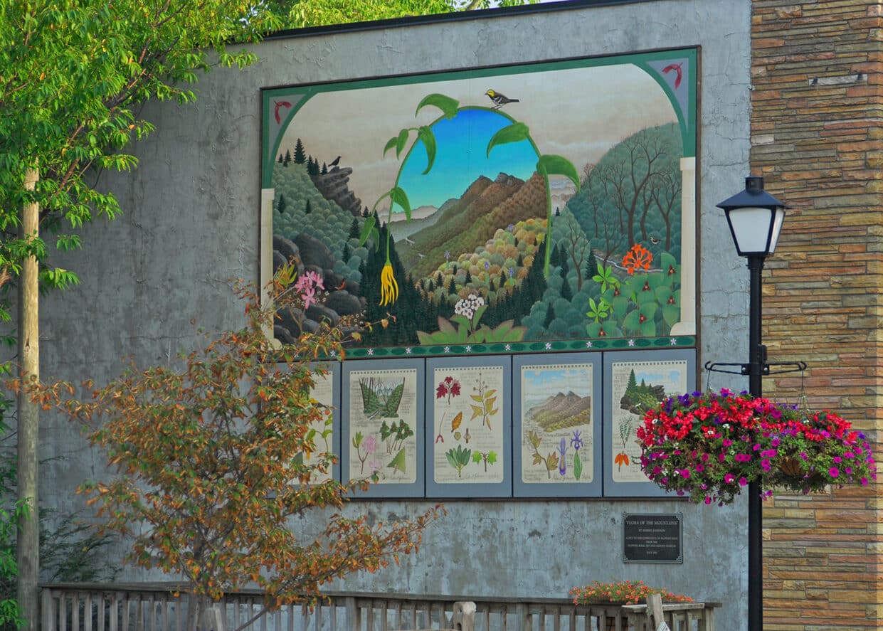 Mural depicting local plants on a wall in town, surrounded by flowers.