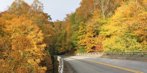 MP 295.3 – Sims Creek Overlook & Green Knob Trail