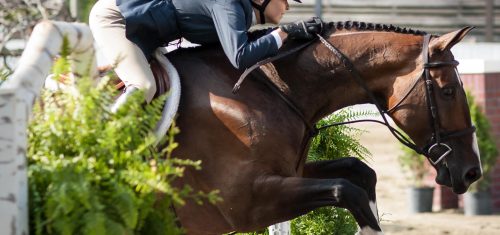 Blowing Rock Horse Show